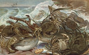 Crabs by European School